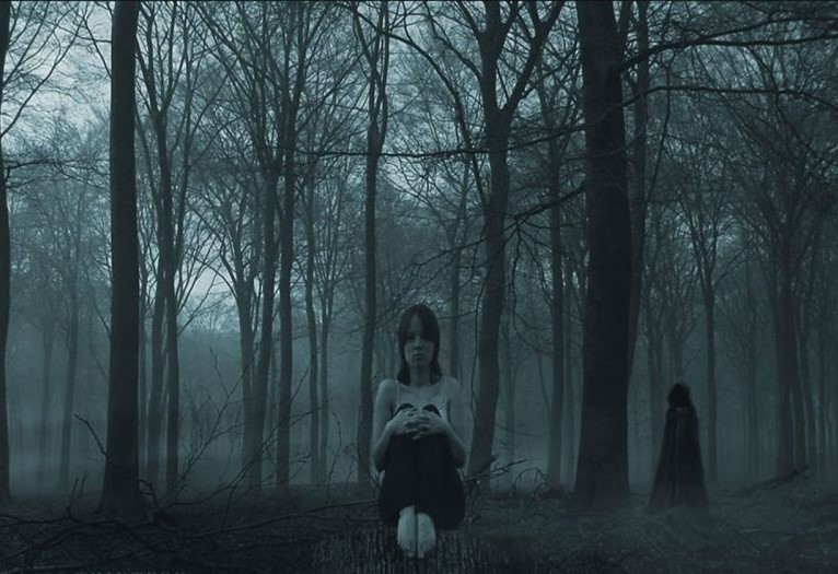 En el silencio del bosque - Gatopulta