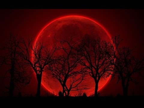 Eclipse Rojo - Historia Fantástica - Gatopulta