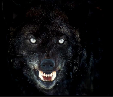 PASOS EN LA NOCHE (CUENTO FANTÁSTICO): Verónica era una atractiva estudiante española que los fines de semana tenía que trabajar como camarera en un bar, pues su familia no tenía suficiente dinero para pagarle la carrera. Un sábado por la tarde entró en el bar donde trabajaba un muchacho de aspecto desaliñado, probablemente un simple vagabundo. Pidió una taza de café que pagó con una moneda mugrienta, posiblemente la única que llevaba consigo. Tras tomarse el café, se pasó el resto de la tarde dormitando en