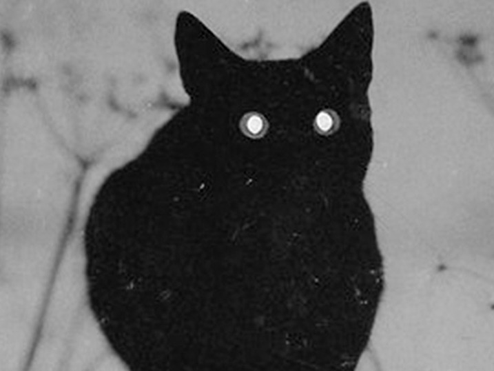 El Gato del Suceso Paranormal - Chiste Corto