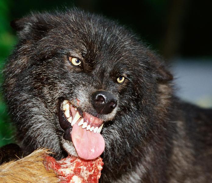 Aquella tarde una mujer muy atractiva y un apuesto adolescente salieron de una tienda de ropa, situada en el centro comercial más concurrido de cierta ciudad española. La conversación entre ambos era distendida y a ratos alegre, pero de pronto el muchacho se puso pálido y le dijo a la mujer: -Mamá, tengo que decirte una cosa. Ella le dirigió una mirada de reconvención y le dijo en voz baja: -Rui, te he dicho que no debes llamarme “mamá” cuando estemos fuera de casa. Antes, cuando eras pequeño, no importaba 