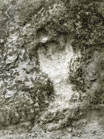 La Pata del Diablo - Fotografía de Sergio Campodónico