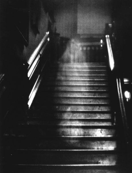 Th Brown Lady of Raynham Hall