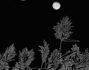 1Q84 - gatopulta.com