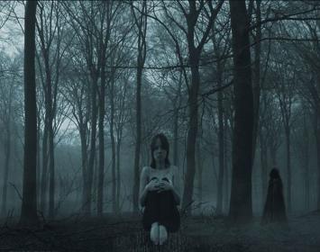 En el silencio del bosque - Gatopulta