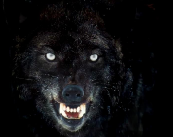 PASOS EN LA NOCHE (CUENTO FANTÁSTICO): Verónica era una atractiva estudiante española que los fines de semana tenía que trabajar como camarera en un bar, pues su familia no tenía suficiente dinero para pagarle la carrera. Un sábado por la tarde entró en el bar donde trabajaba un muchacho de aspecto desaliñado, probablemente un simple vagabundo. Pidió una taza de café que pagó con una moneda mugrienta, posiblemente la única que llevaba consigo. Tras tomarse el café, se pasó el resto de la tarde dormitando en