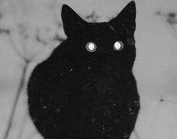 El Gato del Suceso Paranormal - Chiste Corto