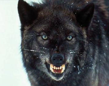 Andrés Beck, un joven profesor de Biología con ciertos conocimientos de ocultismo, volvió a su apartamento a última hora de la tarde, tras pasar el día de excursión con sus alumnos del instituto, y escribió las siguientes líneas en su diario secreto: “Hoy hemos pasado el día en Vigo y, tras las visitas culturales de rigor, aprovechamos que hacía buen tiempo para acercarnos a la playa de Samil y darnos un chapuzón. No pude evitar fijarme en Helena Vázquez, una chica de 1º A realmente atractiva. Aunque no est