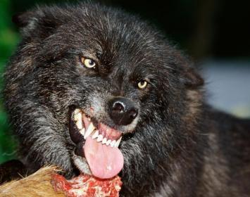 Aquella tarde una mujer muy atractiva y un apuesto adolescente salieron de una tienda de ropa, situada en el centro comercial más concurrido de cierta ciudad española. La conversación entre ambos era distendida y a ratos alegre, pero de pronto el muchacho se puso pálido y le dijo a la mujer: -Mamá, tengo que decirte una cosa. Ella le dirigió una mirada de reconvención y le dijo en voz baja: -Rui, te he dicho que no debes llamarme “mamá” cuando estemos fuera de casa. Antes, cuando eras pequeño, no importaba 