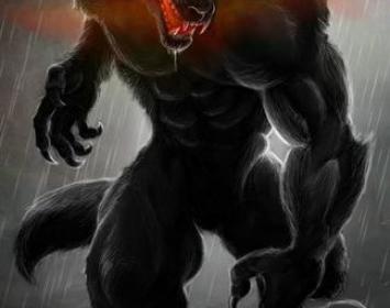 Cuando Ruy llegó a la pubertad, empezó a tener pesadillas cuyo patrón era siempre le mismo: se soñaba caminando por un cuarto en penumbra, dirigiéndose hacia una ventana de la pared. Y al otro lado de la ventana lo miraba un enorme lobo negro de pupilas rojas, un lobo que, de alguna manera, parecía sonreír cuando sus miradas se cruzaban… Por lo demás, su vida era apacible e incluso hubiera podido ser bastante feliz, de no ser por un único motivo de amargura: Ruy no sabía quién era su padre, ni siquiera si e